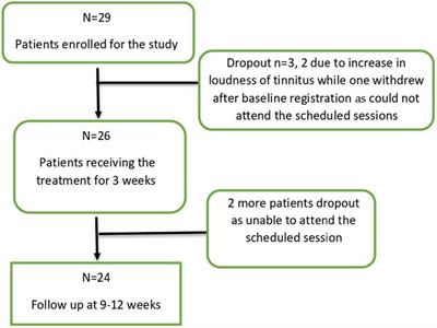Effectiveness of bimodal auditory and electrical stimulation in patients with tinnitus: A feasibility study